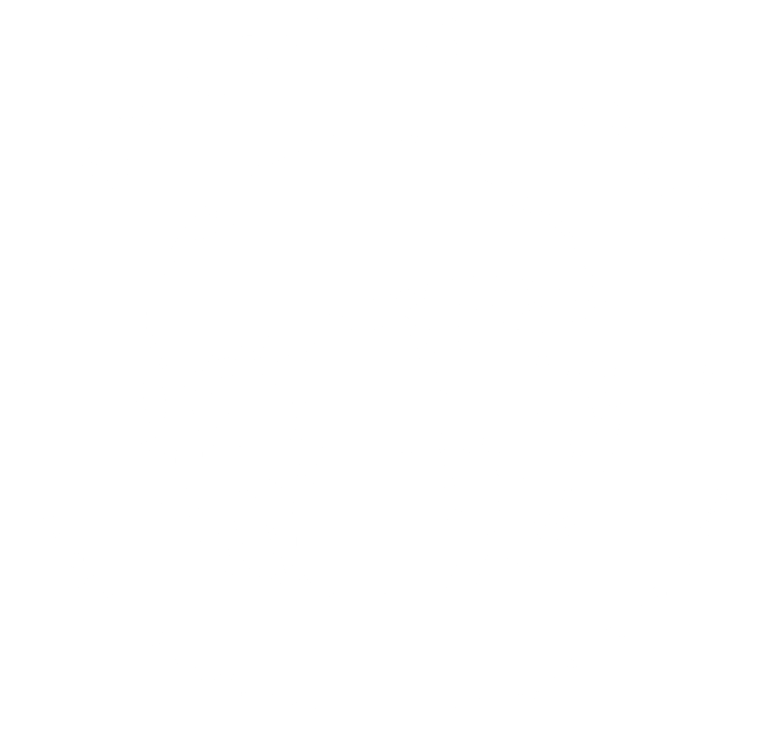 logo negativo all seasons boletus