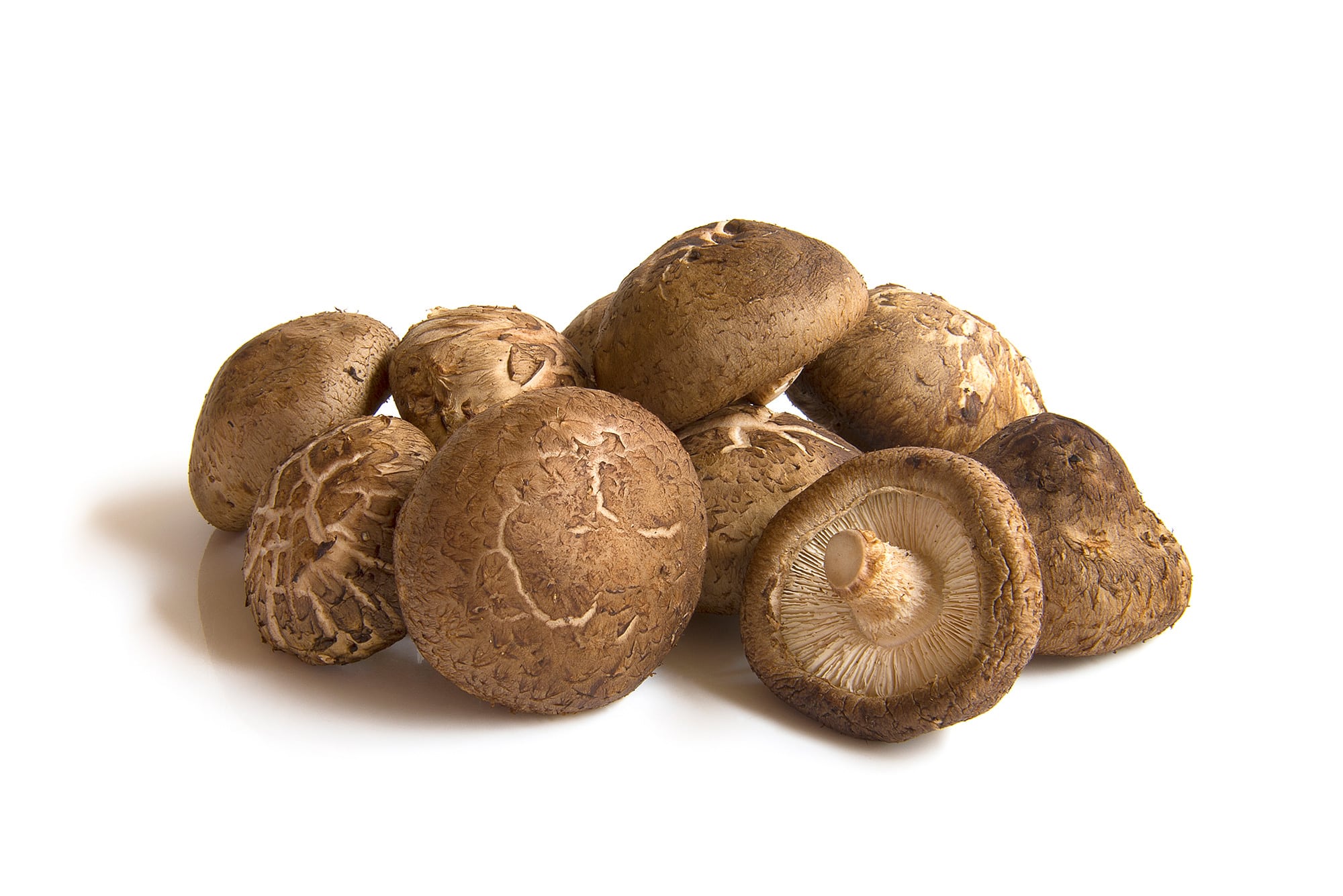 setas shiitake